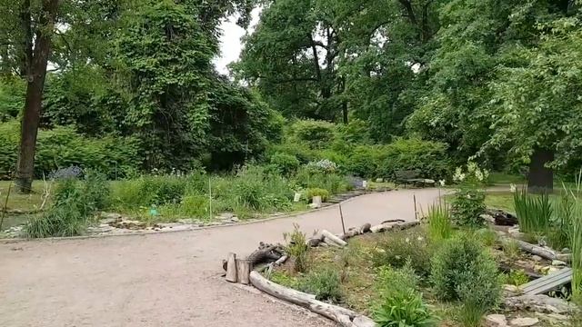 17 июня 2018 Ботанический Сад смотреть онлайн