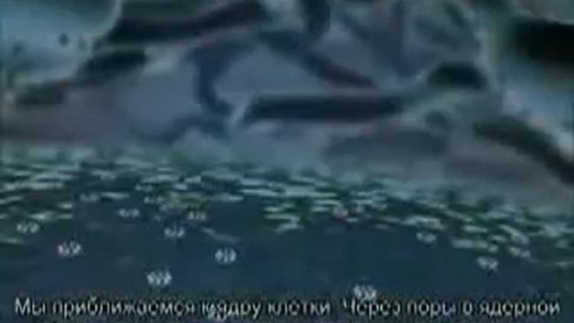 Жизнь одной нашей клетки, ч 1. смотреть онлайн