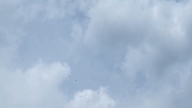 г.Богучар. Голуби Цокало.С.Ф. Молодёжь. смотреть онлайн