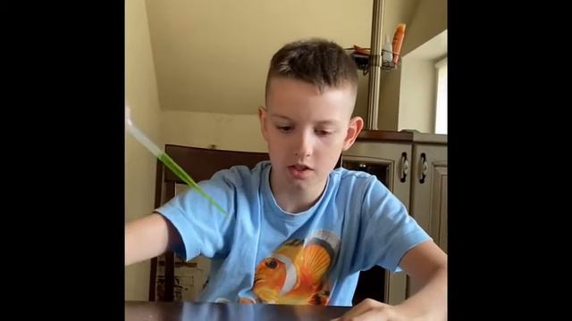 Виды хлорофилла смотреть онлайн