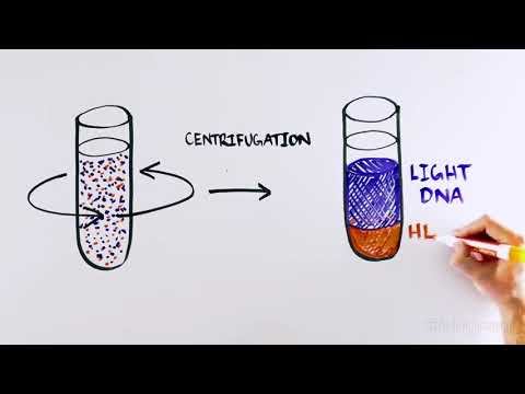 science and technology смотреть онлайн