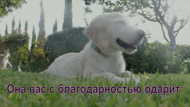 Не забывайте о душе своей смотреть онлайн