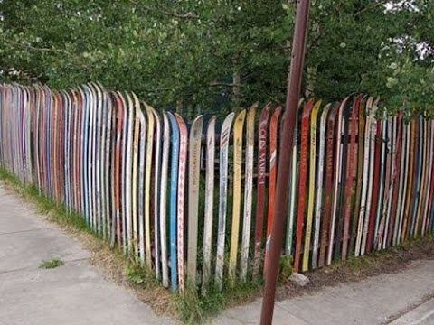 Странности Австралии и заборов .