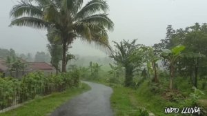 Прогулки под проливным дождем в грозу создают умиротворяющую атмосферу для глубокого сна и релакса.