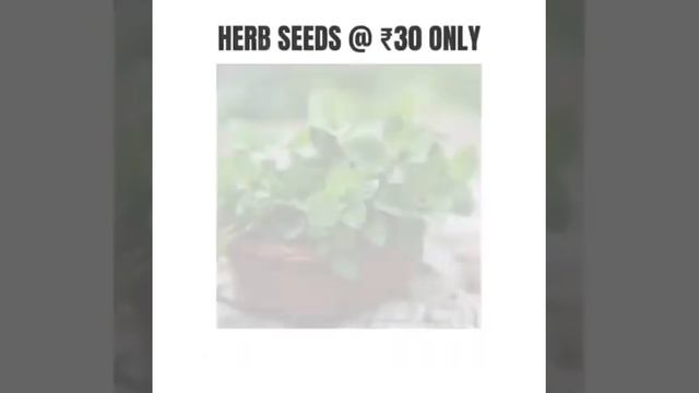 Set up your garden with SeedBasket | SeedBasket смотреть онлайн