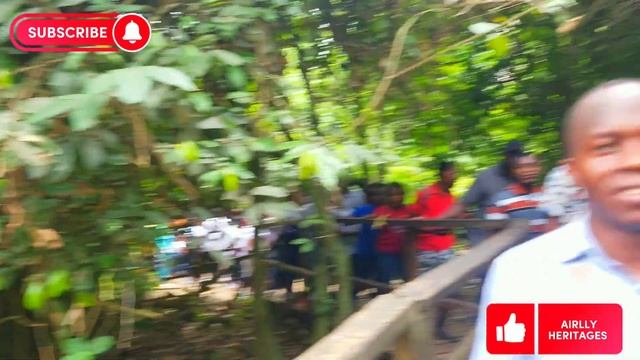 KAKUM NATIONAL PARK, GHANA'S FIRST NATIONAL CANOPY WALKWAY || GHANA'S INDEPENDENCE DAY || #ghana