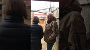 Обзорная экскурсия по питомнику среднеазиатской овчарки в Москве - Сары Шайтан