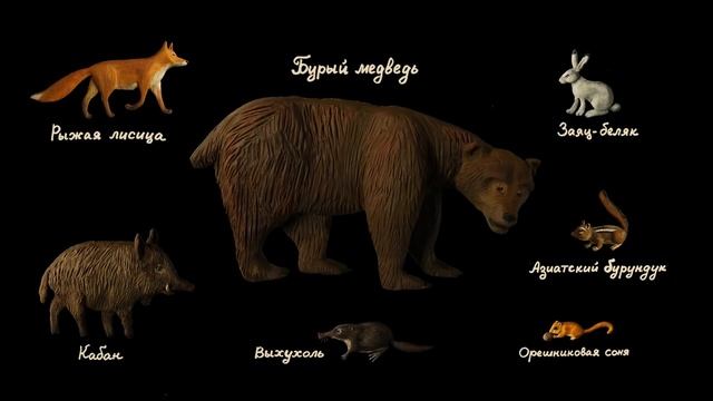 Мы живем в России - Мари Эл (Видеоэнциклопедия нашей страны) смотреть онлайн