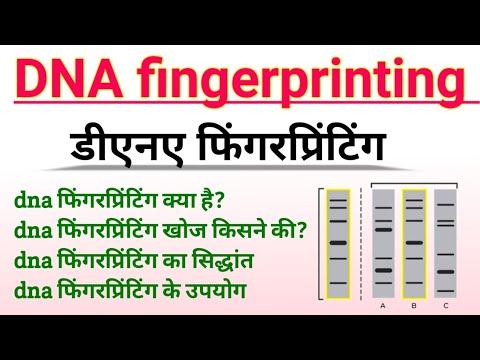 dna fingerprinting | dna profiling/dna typing | dna फिंगरप्रिंटिंग/प्रोफाइलिंग का सिद्धान्त, उपयोग смотреть онлайн
