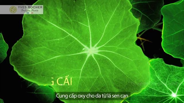 [NEW] KHÁM PHÁ BỘ SẢN PHẨM THANH LỌC DA CHUYÊN SÂU ELIXIR BOTANIQUE смотреть онлайн