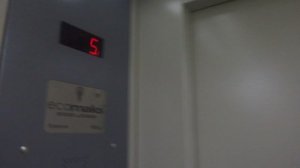 Пассажирский лифт (Деревня Мокшино), V=1 м-с, Q=630 кг (5)