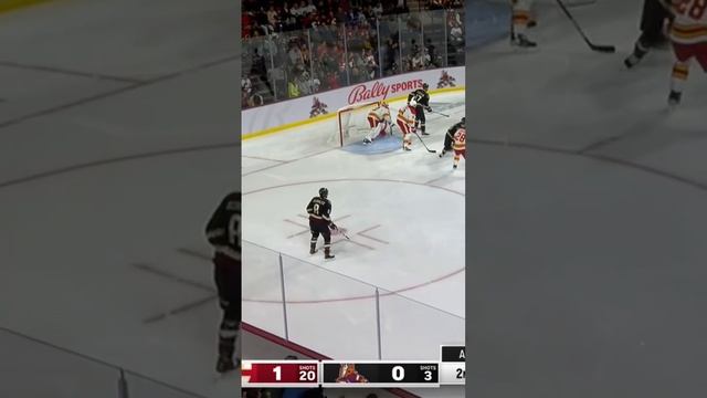 Гол Аризоны в ворота Калгари #нхл #нхлобзор #nhl #хоккей смотреть онлайн
