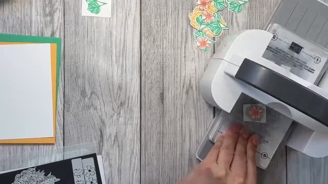 Simple Flower Cards with the Unbounded Beauty Suite! Sweet Stampin' LIVE смотреть онлайн