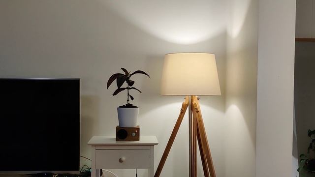Give Plants a Voice - Creative Engineering with Mark Rober смотреть онлайн