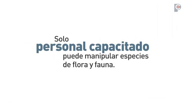 8 Reglas ambientales de excelencia - Protección y conservación de flora y fauna. смотреть онлайн