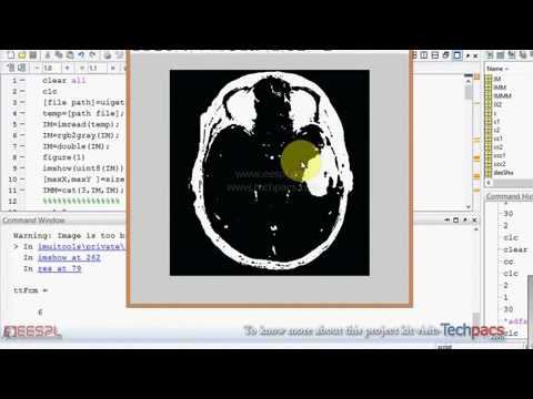 Fuzzy c-mean clustering for digital image segmentation (latest Project 2020) смотреть онлайн