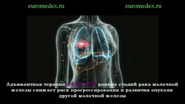 FEMARA euromedex.ru смотреть онлайн