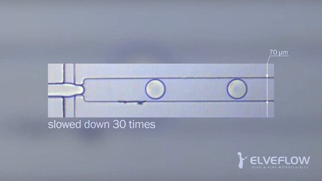 Droplet Generation - Microfluidics смотреть онлайн