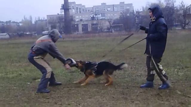 Настоящие проводники закаляются в непогоду . Амур и Юля .22,03,20 смотреть онлайн