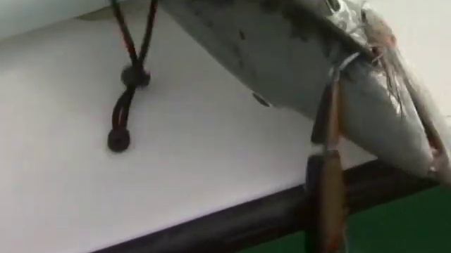 Canadian Sportfishing Saltwater Isle of Youth Cuba Csf 23 03 02 смотреть онлайн