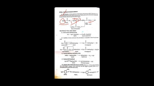 L-12 | Amino Acid - 3 | Adib Hossain Chisty | Organic Chemistry смотреть онлайн