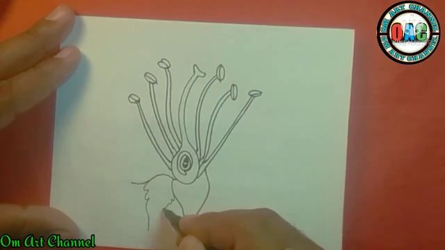 How To Draw Longitudinal Section of Flower | longitudinal section of flower diagram смотреть онлайн