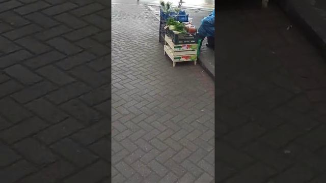 Калининград,пл.Калинина смотреть онлайн
