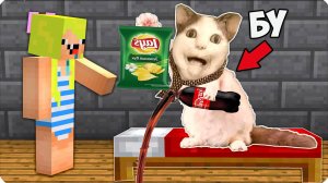 😳БУ ИСПУГАЛСЯ НЕ БОЙСЯ ПОСЕЛИЛСЯ в МОЕМ ДОМЕ в МАЙНКРАФТ! НУБИК ЛЕСКА ШЕДИ ТРОЛЛИНГ