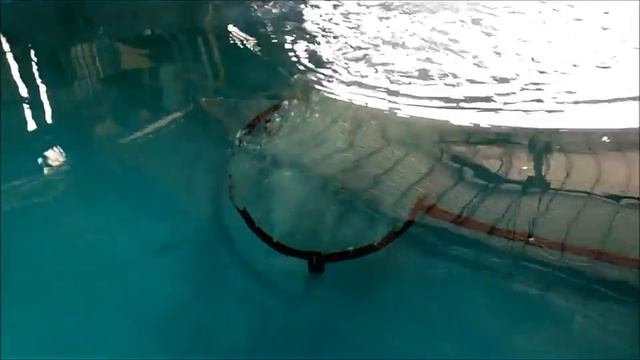 Aquaculture Fish Farming System: Recirculating Aquaculture System (RAS). смотреть онлайн