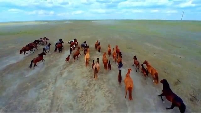 Ақжал негізгі орта мектебі “КММ"; кітапханашысы Г.Е.Тлегенова смотреть онлайн