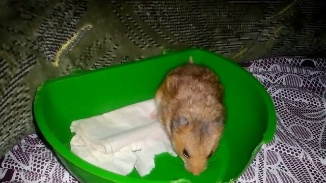 кубик смотреть онлайн