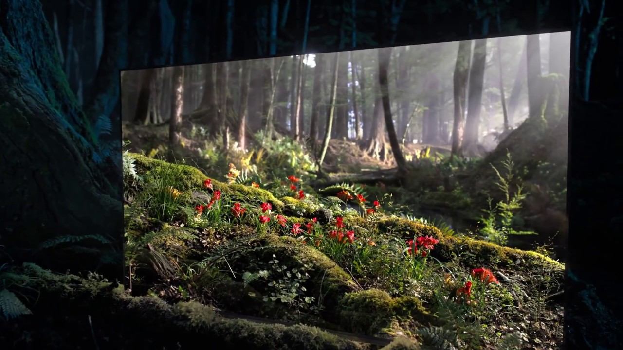 Sony Bravia OLED TV - Window into Daytime Commercial 2018 смотреть онлайн