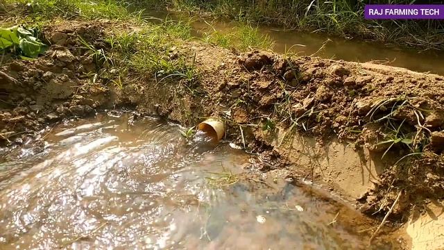 kele ki kheti । banana farming । phosphoric acid । केले की खेती।फास्फोरिक एसिड। смотреть онлайн