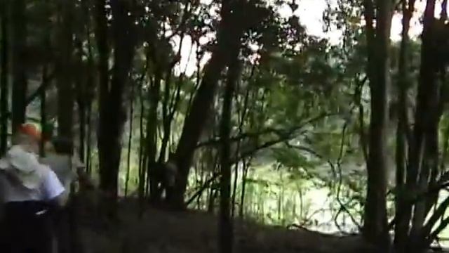 Ariau Amazon Towers. Brazil Amazon River Village Night in Amazon Jungle. Бразилия Амазонки Джунгли смотреть онлайн