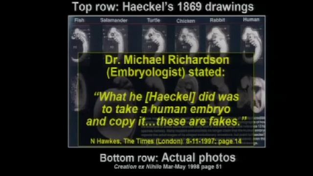 The Darwinian Delusion: Science vs. Darwinism in the Textbooks смотреть онлайн