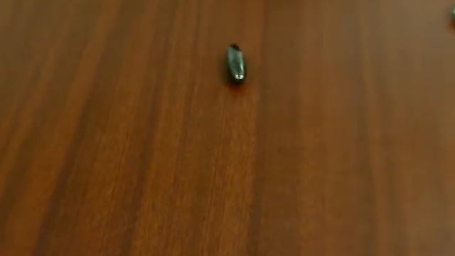 magnetic behavior смотреть онлайн