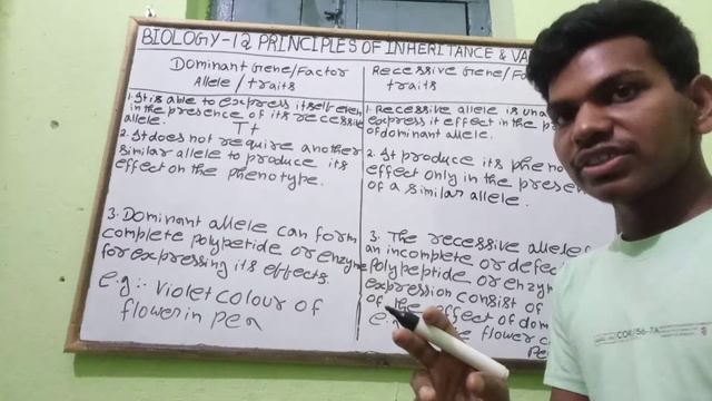 Difference between dominant and recessive class 12 biology chapter 5 смотреть онлайн