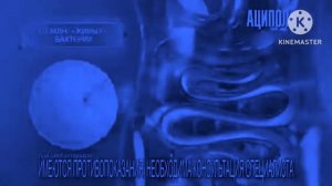 аципол октябрь 2020 effects me 4