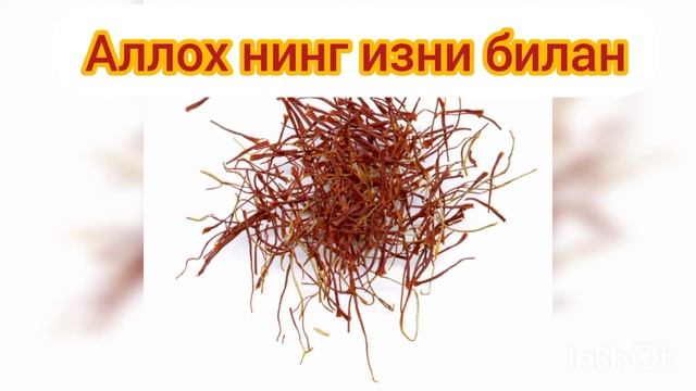 Коп Дардга даво Ичкиликка к,арши У'симлик, Шафрон Усимлиги. смотреть онлайн