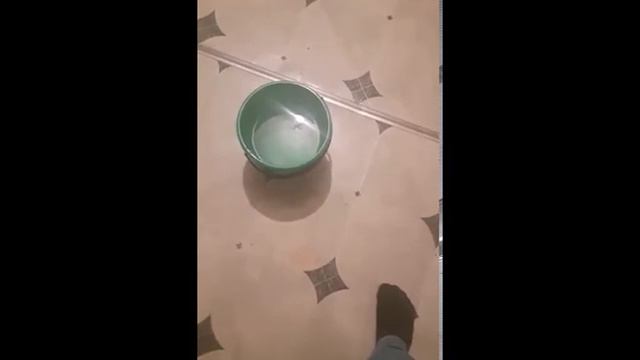 Магические Исследования смотреть онлайн