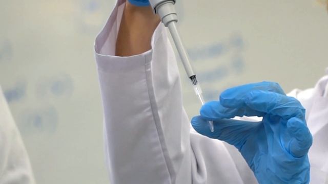 Moleküler Biyoloji ve Genetik Bölümünde Kariyer Olanakları смотреть онлайн