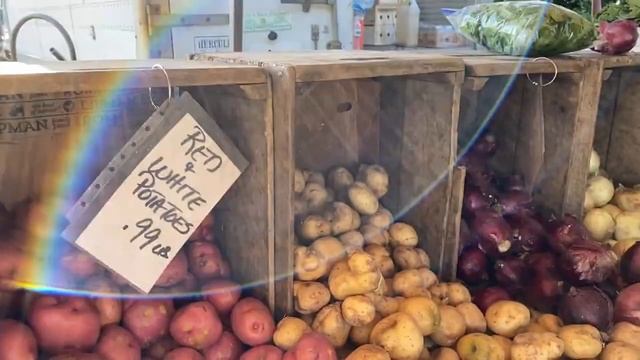 TRAVEL GUIDE: Charleston South Carolina смотреть онлайн