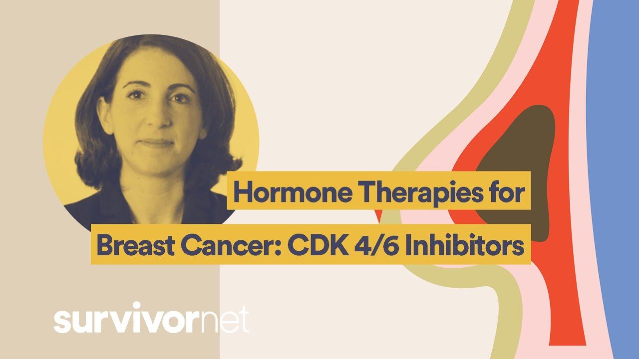 Hormone Therapies for Breast Cancer: CDK 4/6 Inhibitors смотреть онлайн