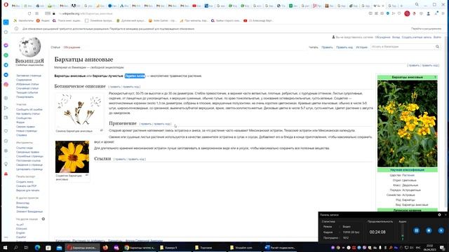 Tagetes они же Бархатцы пришельцы от ацтеков источник лютеинов, приправа, лекарство и психоделик. смотреть онлайн