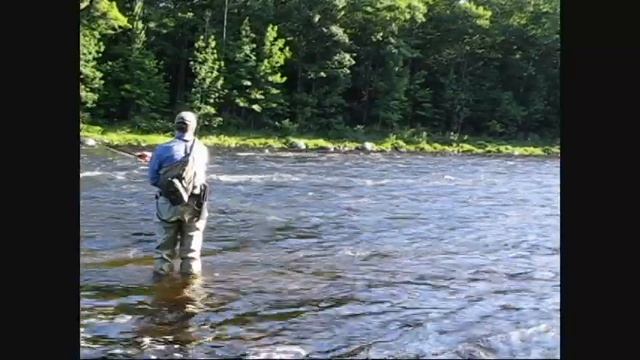 Orvis Helios Switch Rod смотреть онлайн