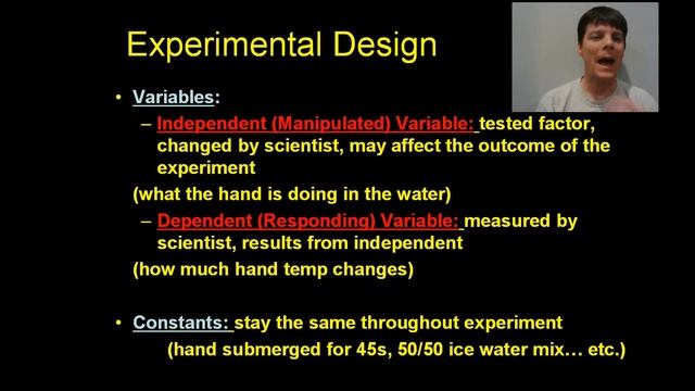 The Scientific Method - Mr Pauller смотреть онлайн