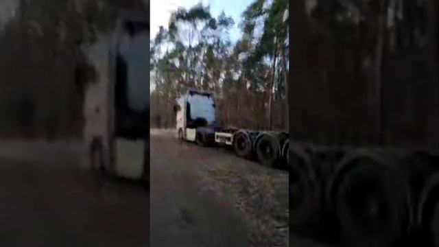 27/01/24 Fürstenwalde Spree - Große Tränke. Шлюз на реке Spree