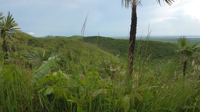 Cerro de la Vigia, Trinidad, Cuba - 4K UHD - Virtual Trip смотреть онлайн