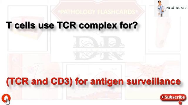 FLASHCARDS: PATHOLOGY PART 3 смотреть онлайн