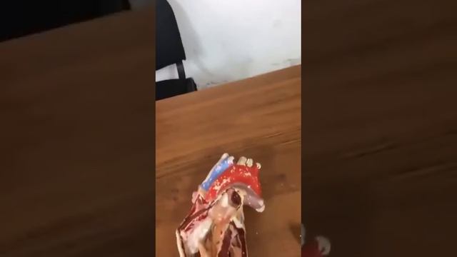 анвар сердце 10 смотреть онлайн